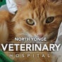 North Yonge Veterinary Hospital in Newmarket, ON