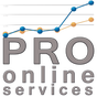 PRO OnLine Services - website development