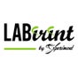 LABirint by Experiment