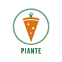 Piante Pizzeria