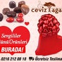 Ceviz Ağacı