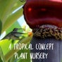 A Tropical Concept Plant Nursery