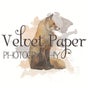 Velvet Paper Photography