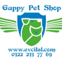 Guppy Pet Shop