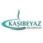 Kaşıbeyaz