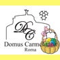 Domus Carmelitana Domus Carmelitana