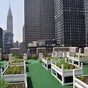 Waldorf Astoria Rooftop Garden