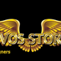 Evos Store