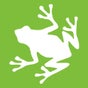 Razorfrog Web Design