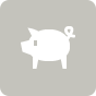 The Prized Pig