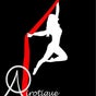 Airotique aerial fitness and performing arts