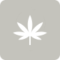 Mile High Recreational Cannabis