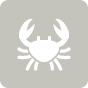 Brooklyn Crab
