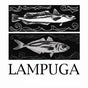 Lampuga