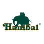 Hanibal Sport