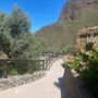 Casa Cueva Canaria Guayadeque Profile Picture